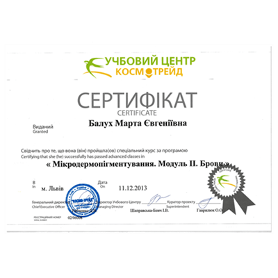 Підвищення кваліфікації-класична колористика 2013р.